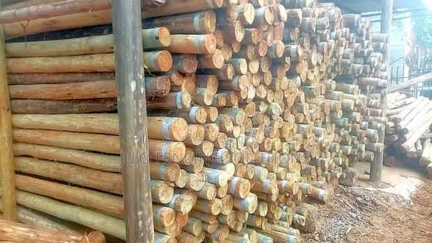 Treated Fencing Poles 8ft/9ft