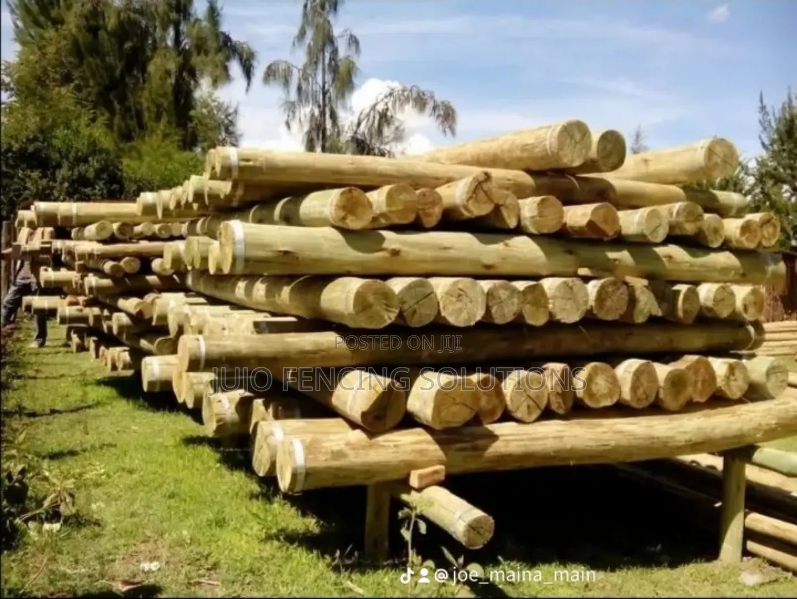 Treated Fencing Poles 8ft/9ft