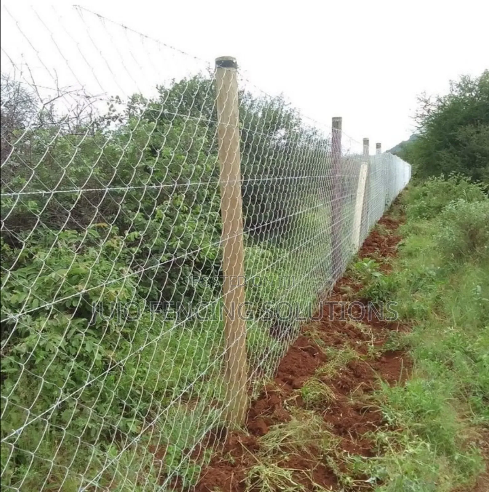 Treated Fencing Poles 8ft/9ft