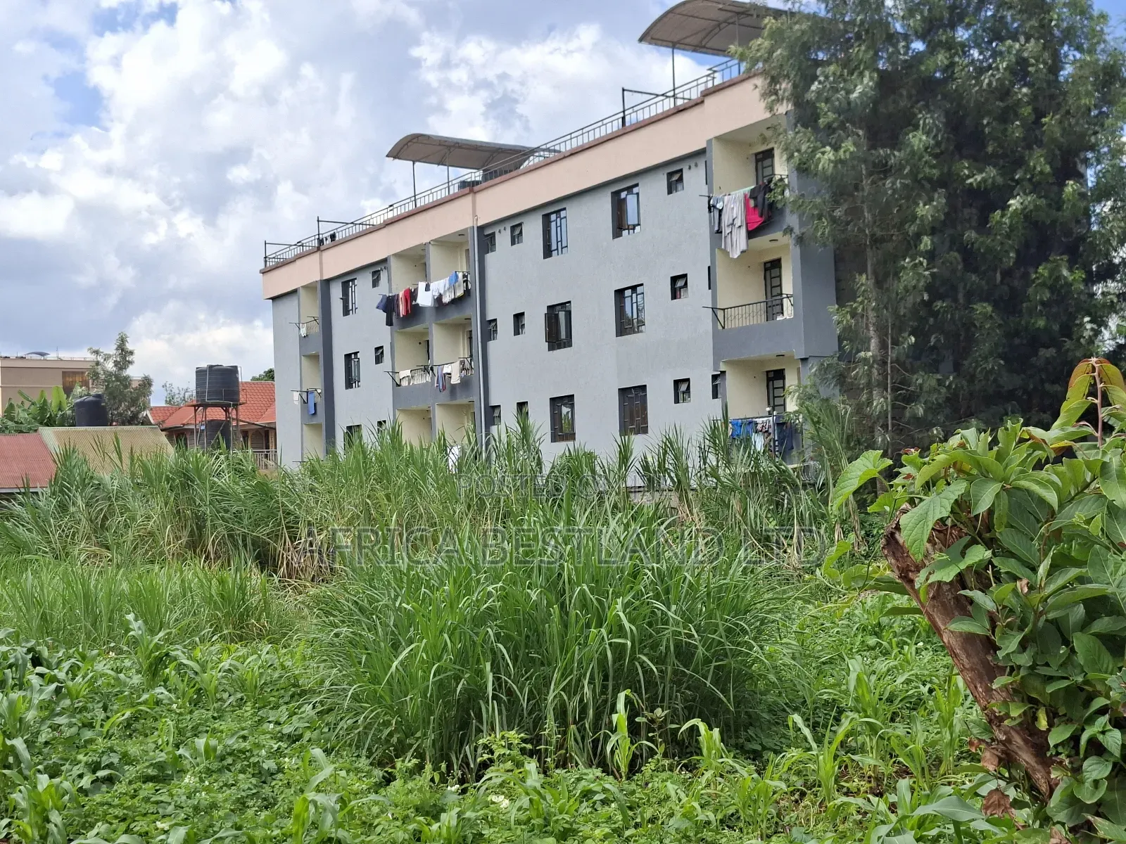 50x100 Available Plot for Sale in Gathiga