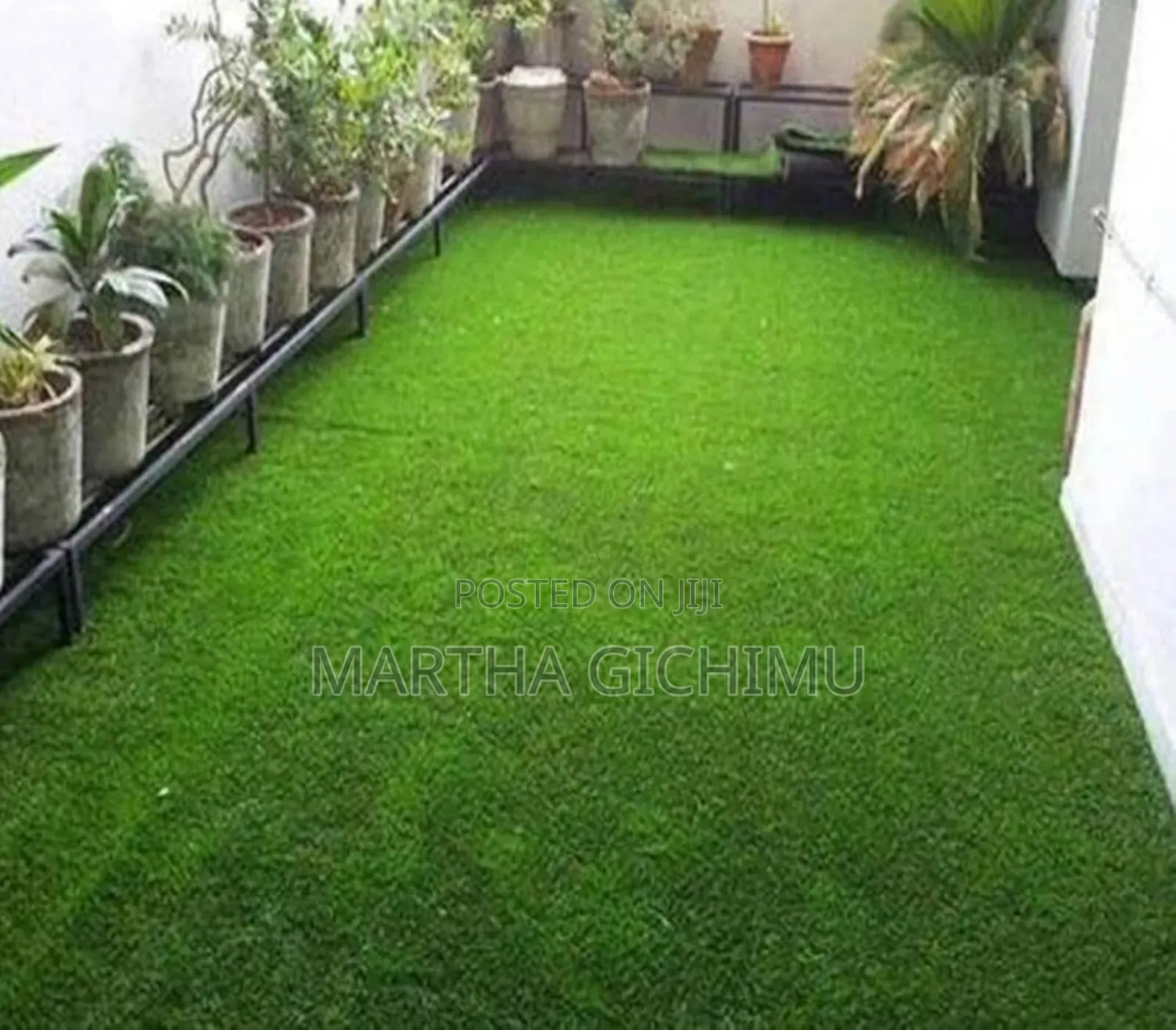 Grass Carpet Grass Carpet