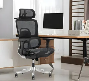 Ergonomic Breathable 3d Lambar Support Computer Chair