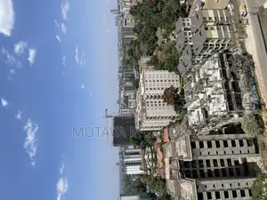 Drone Videographer