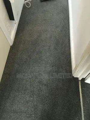 "Unroll Style, Unleash Comfort!" With Delta Carpets