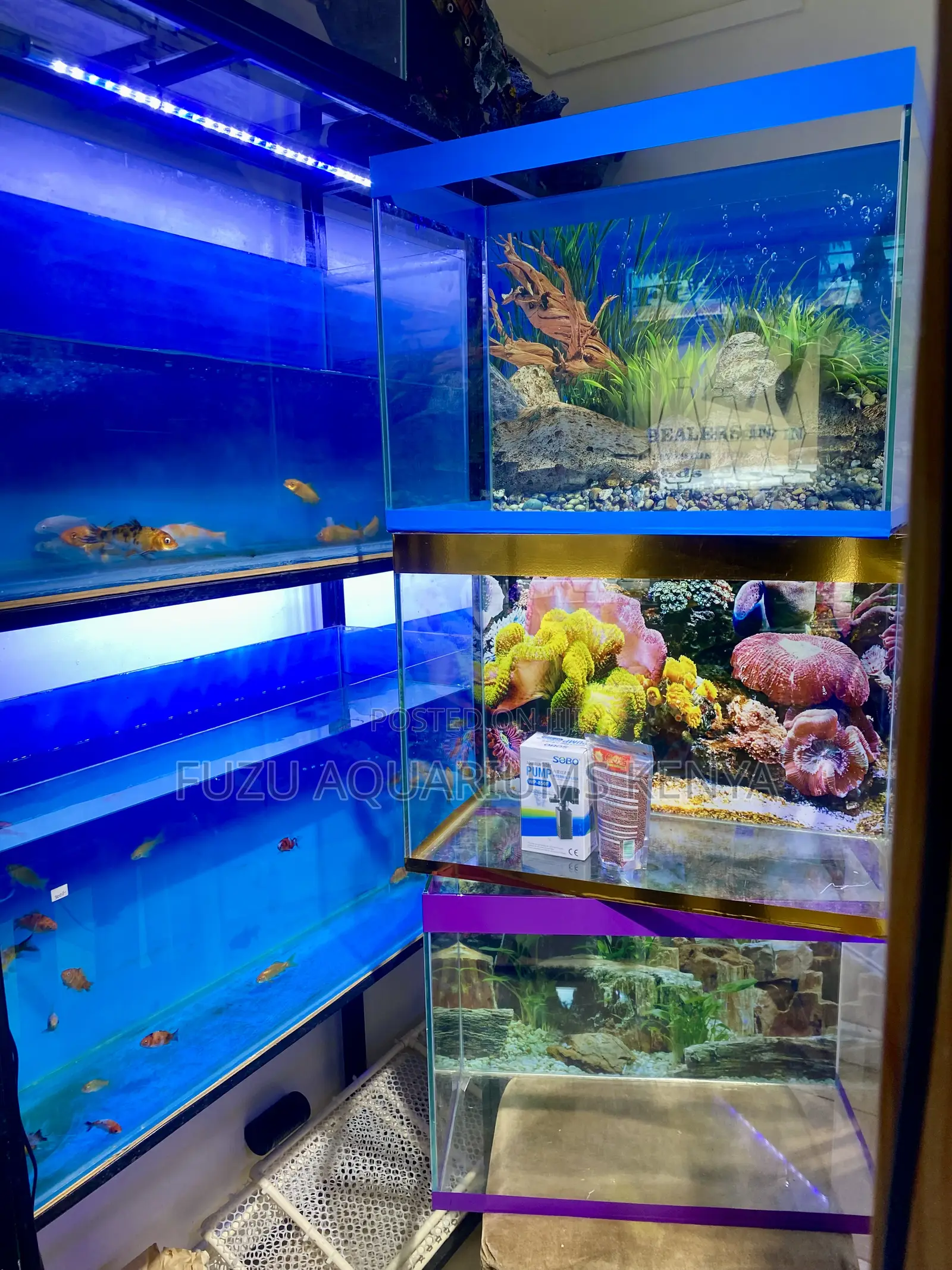 Clean Sleek Aquarium That’S Easy to Maintain