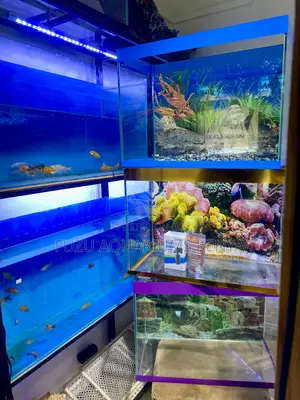 Clean Sleek Aquarium That’S Easy to Maintain