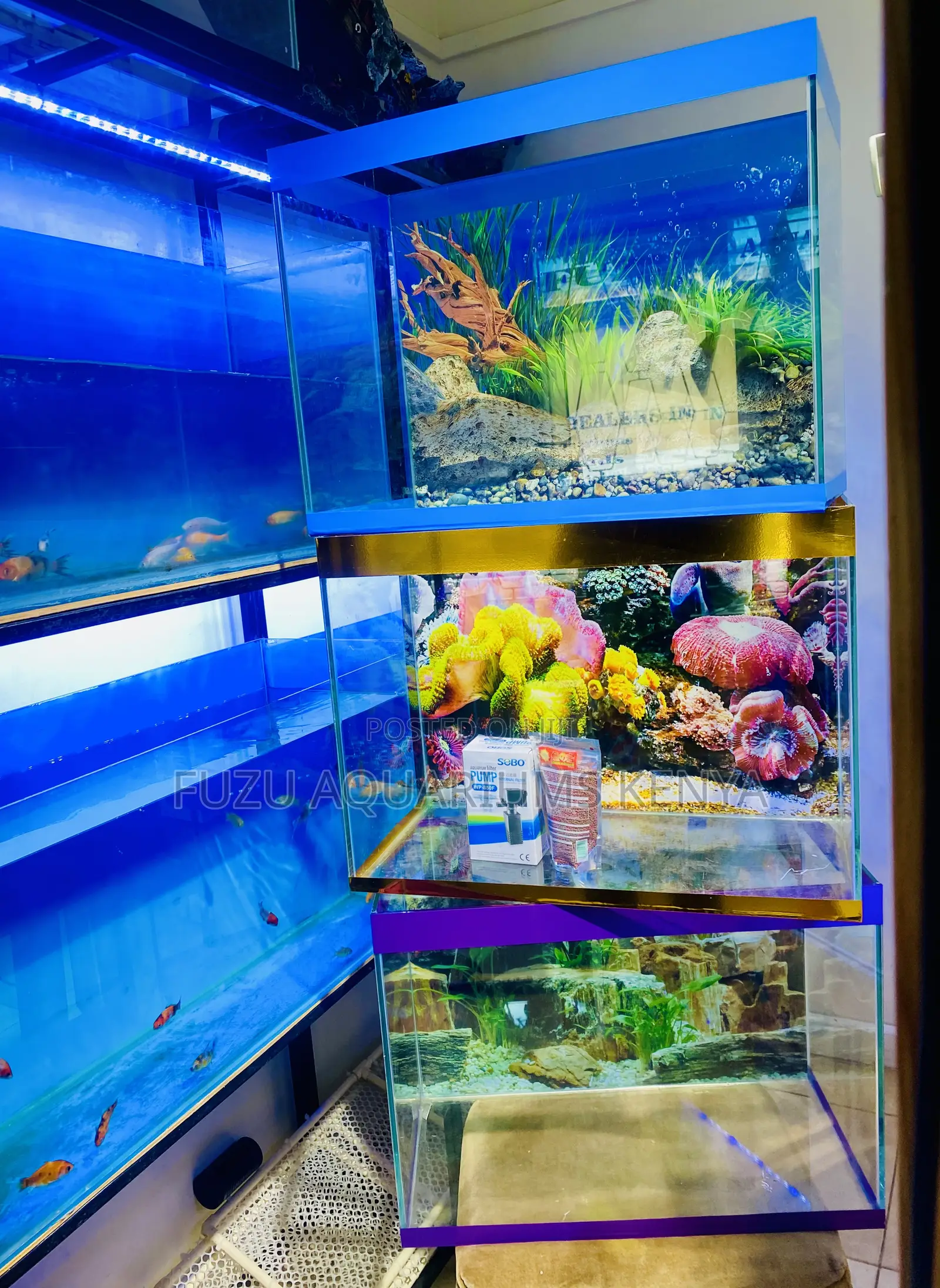 All-in-One Aquarium Kit – Perfect for Beginners