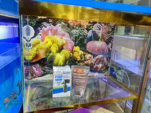 Aquarium That Doubles as Living Art
