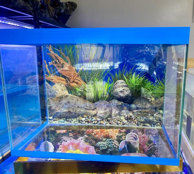 Full 60 Litres Aquarium for Fish Lovers - main view