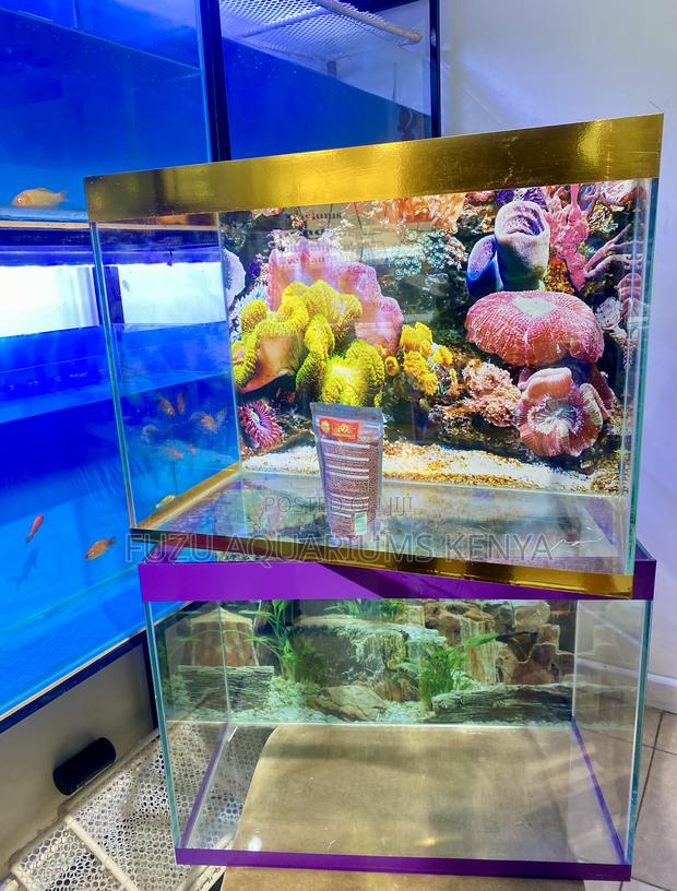Full 60 Litres Aquarium for Fish Lovers
