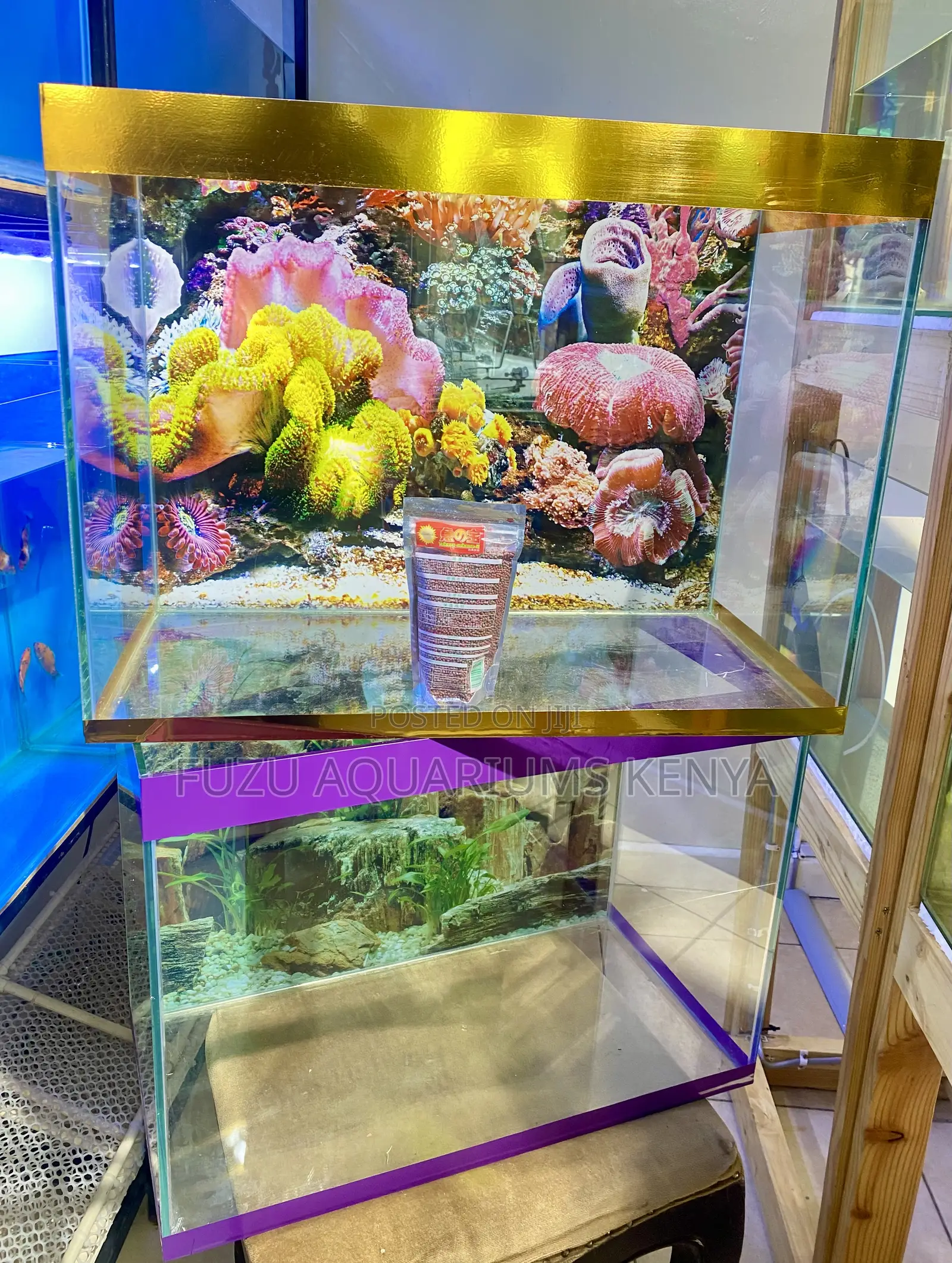 Compact Aquarium That Makes a Big Statement