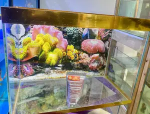 Aquarium Experts – Quality Guaranteed