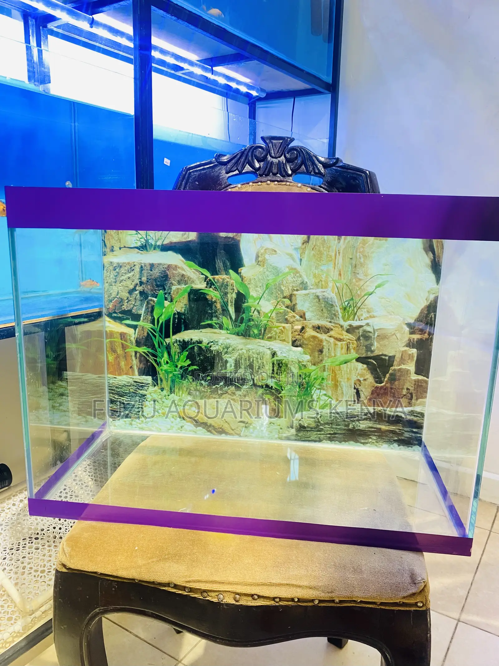 Complete Aquarium With Beautiful Finish