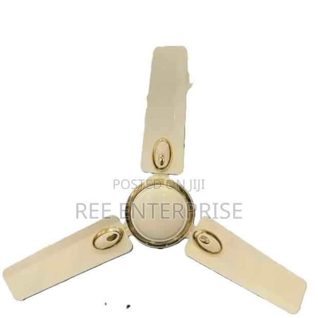 24 Inches Roch Ceiling Fan