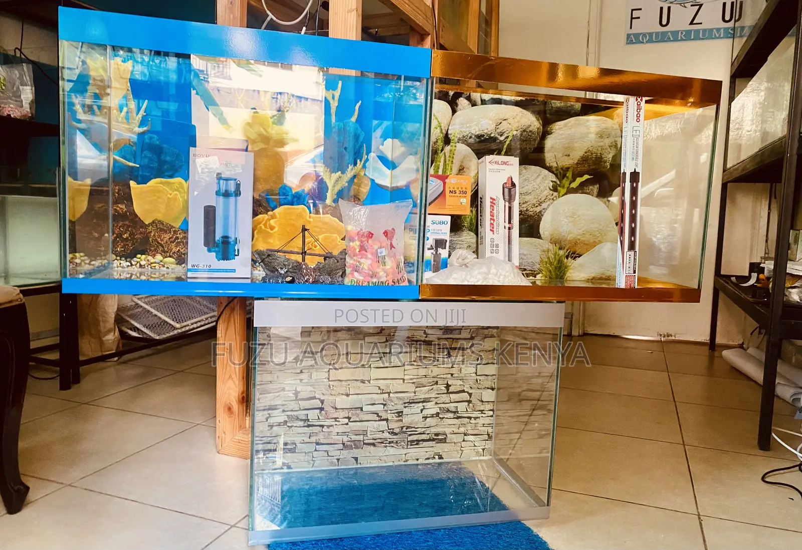 Stylish 60l Aquarium – Complete Setup Ready
