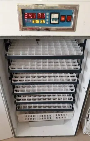 528egg Incubator/Automatic Eggs Incubator