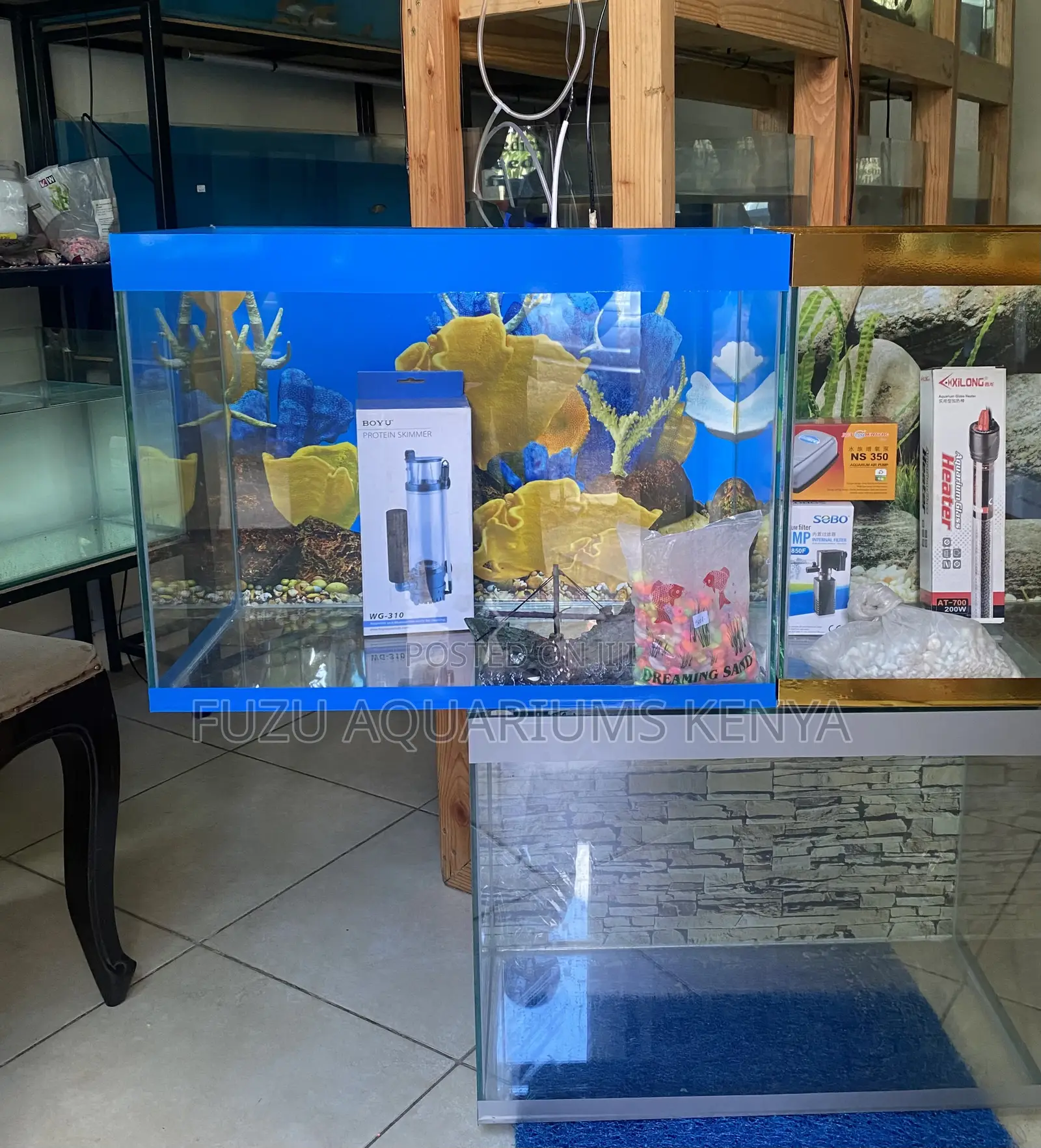 Aquarium Perfection Delivered From Nairobi