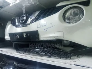 Nissan Juke 2015 Xenon Nosecut