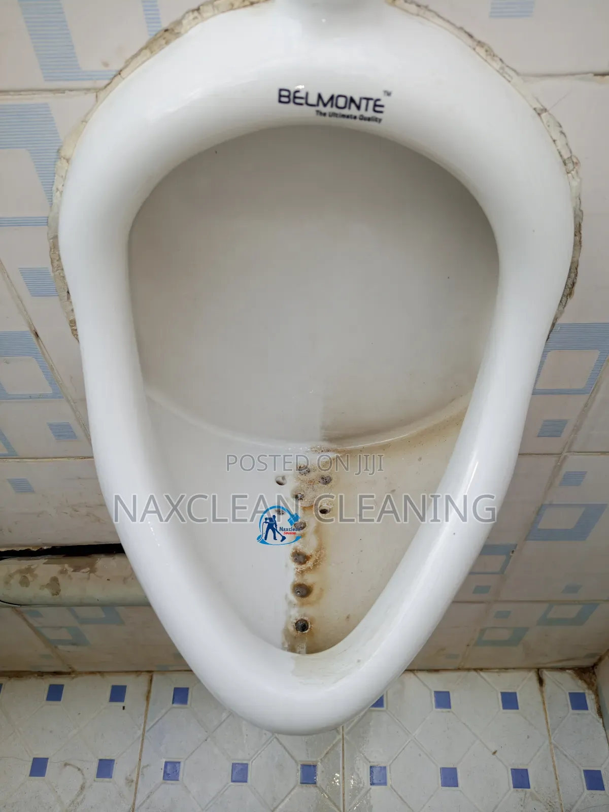 Toilet Stain Removal