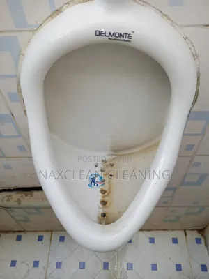 Toilet Stain Removal
