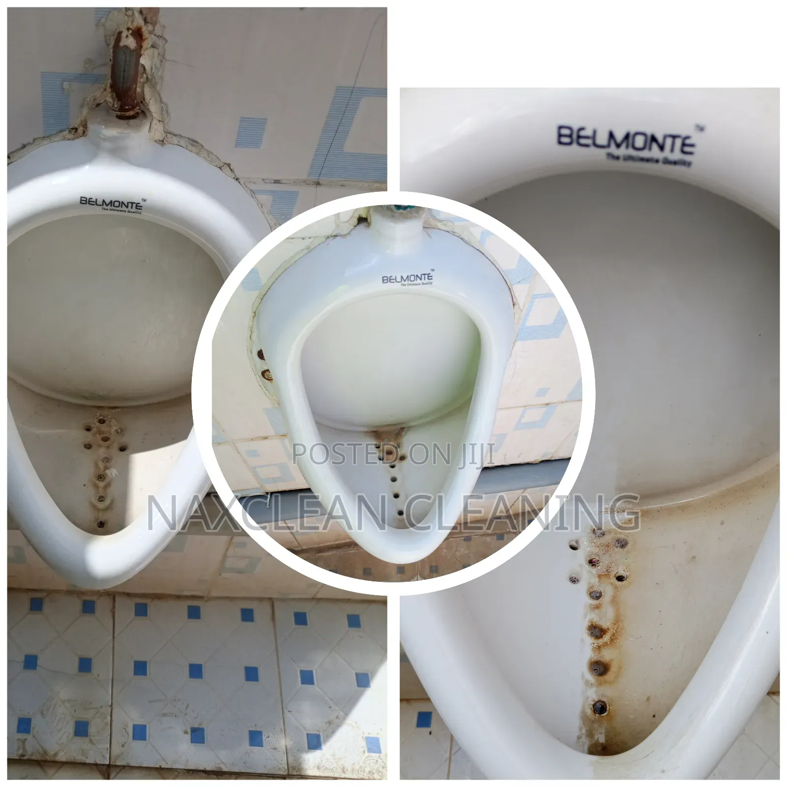 Toilet Stain Removal