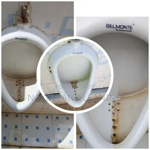 Toilet Stain Removal