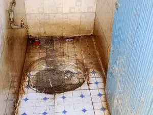 Toilet Stain Removal