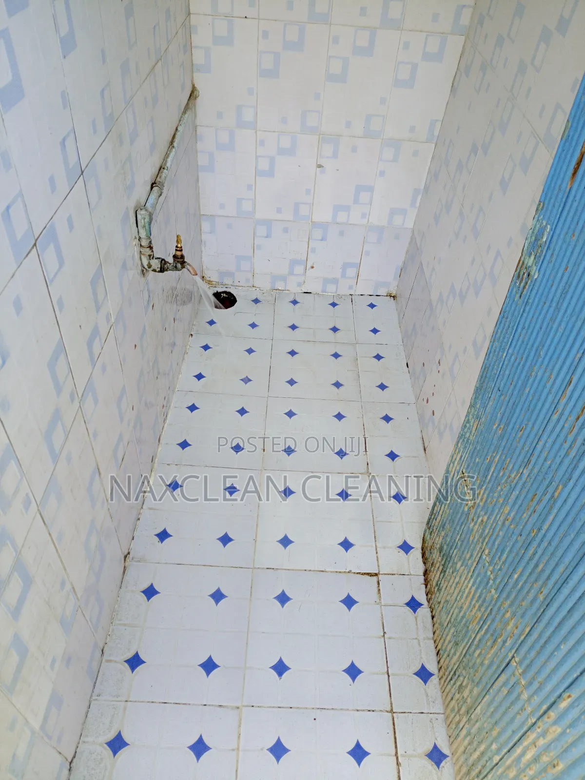 Toilet Stain Removal