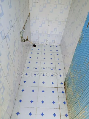 Toilet Stain Removal