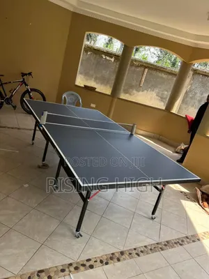 Foldable Table Tennis With Net and 2 Bats