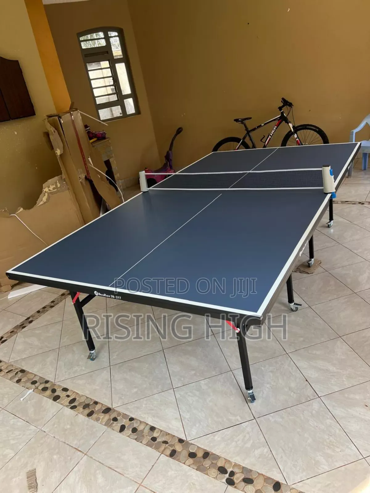 Table Tennis Set With Net, Bats 9 Balls