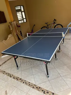 Table Tennis Set With Net, Bats 9 Balls