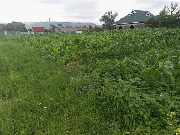 Plot for Sale in Lower Mawanga ( Baraka) - thumbnail 2