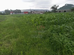 Plot for Sale in Lower Mawanga ( Baraka)