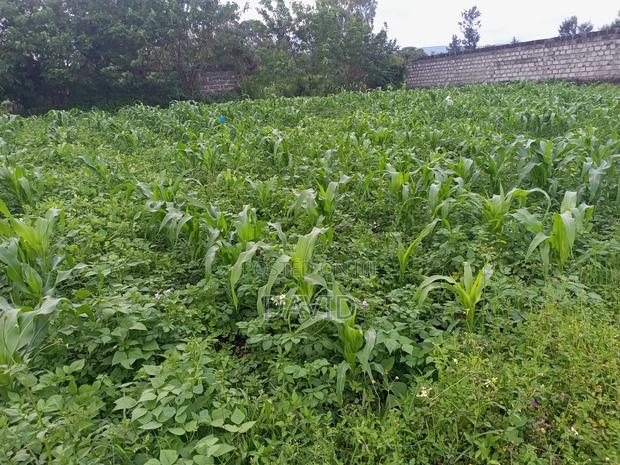 Plot for Sale in Lower Mawanga ( Baraka) - thumbnail 4