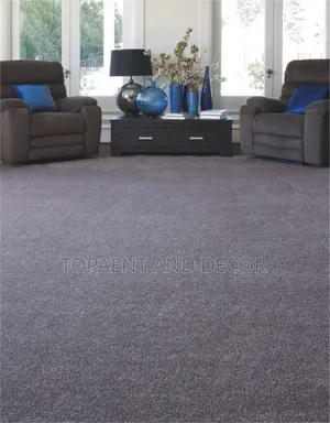 Indoor Luxury and Well Designed Wall to Wall Carpet