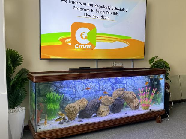 Handcrafted Mahogany Tv Stand Aquarium With Filter Fish