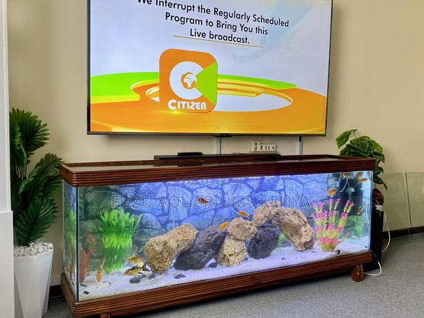 Elegant Tv Stand Aquarium Made From Treated Solid Wood