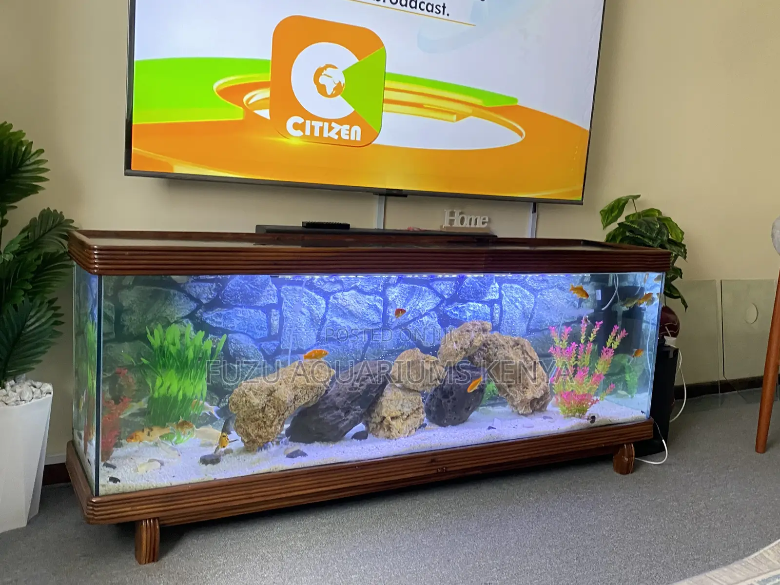 Premium Hardwood Aquarium Tv Console