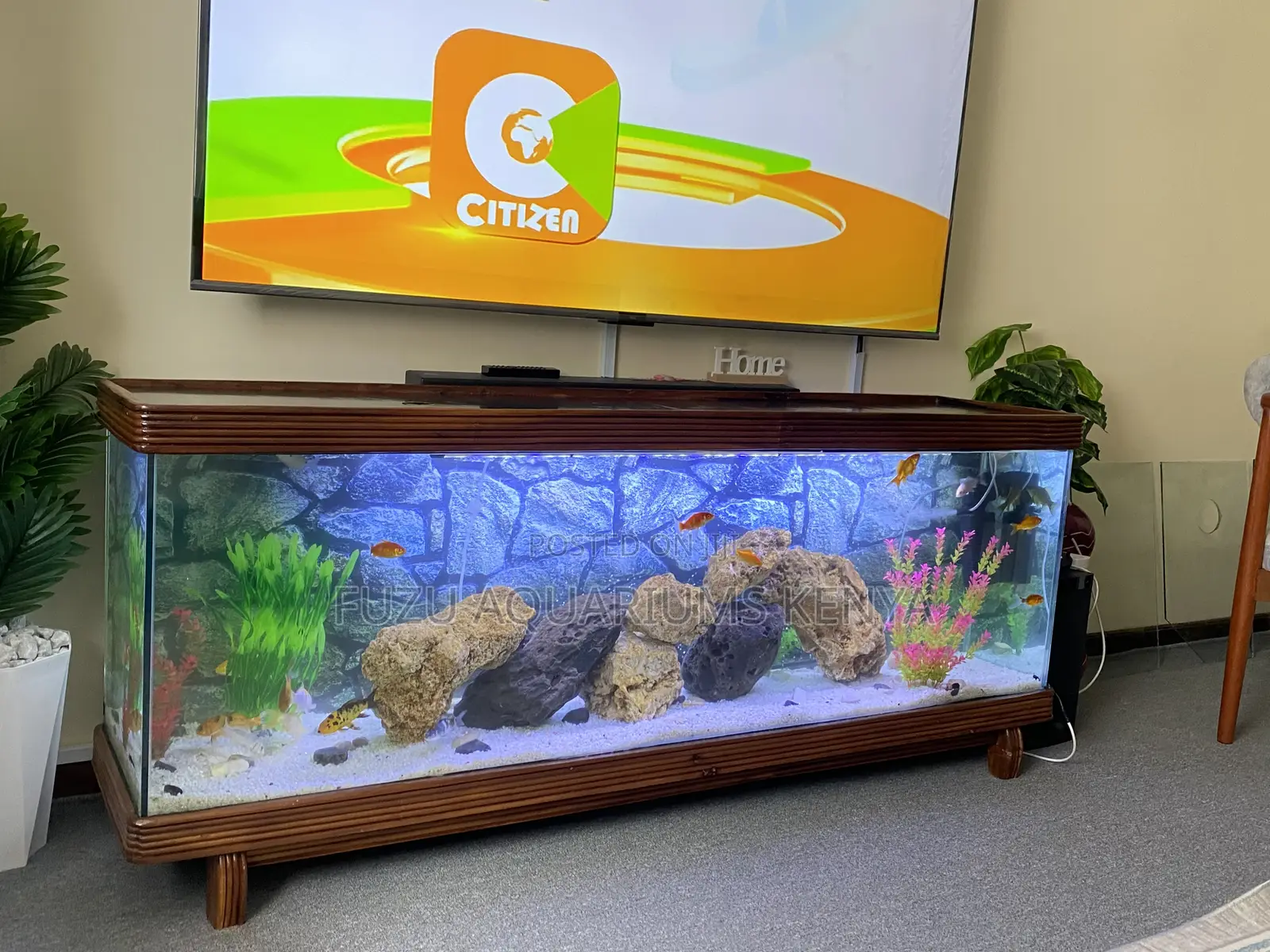 Lifetime Wood Aquarium Tv Stand – Built to Impress