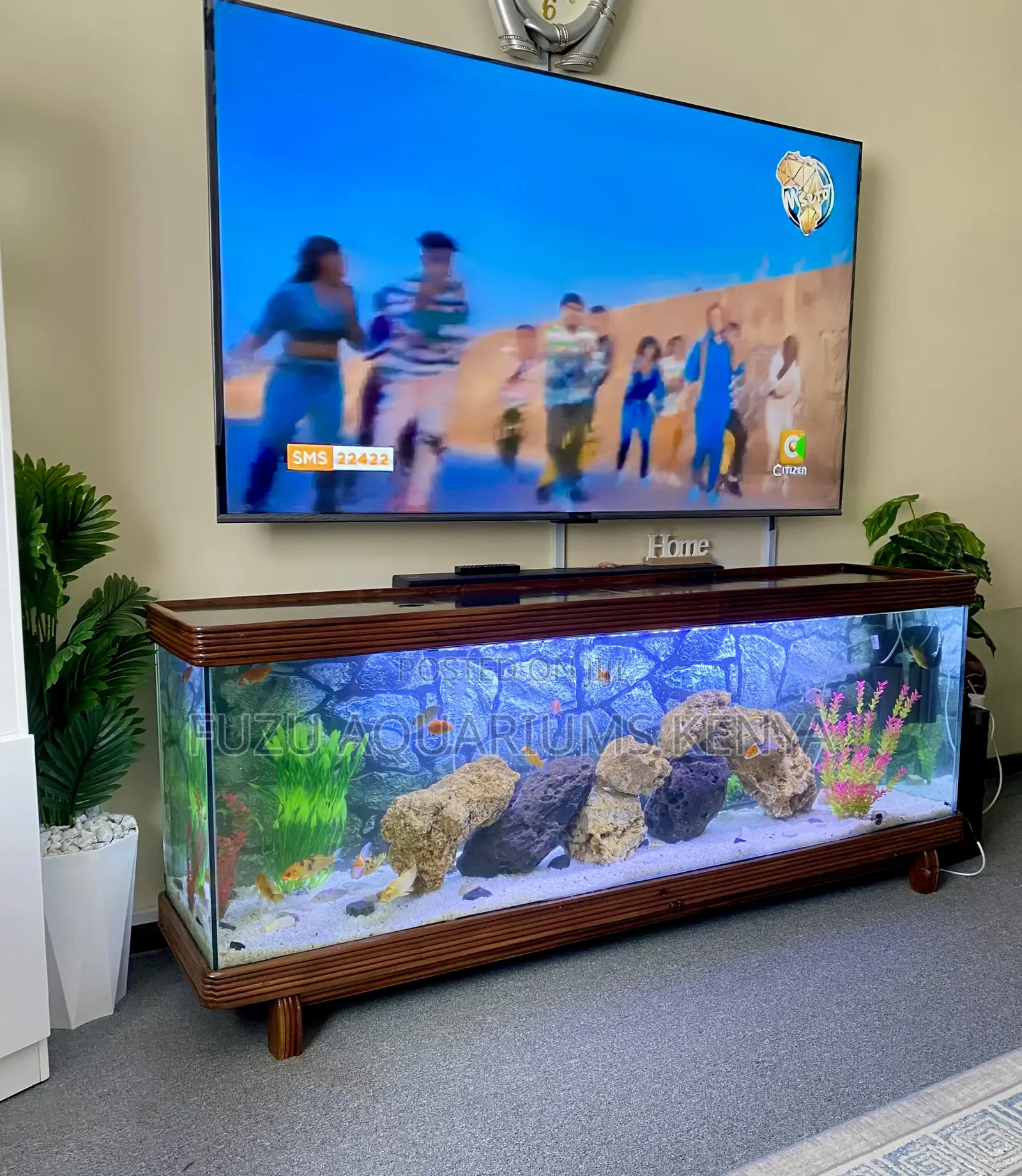 Custom Mahogany Aquarium Tv Stand – Complete Setup