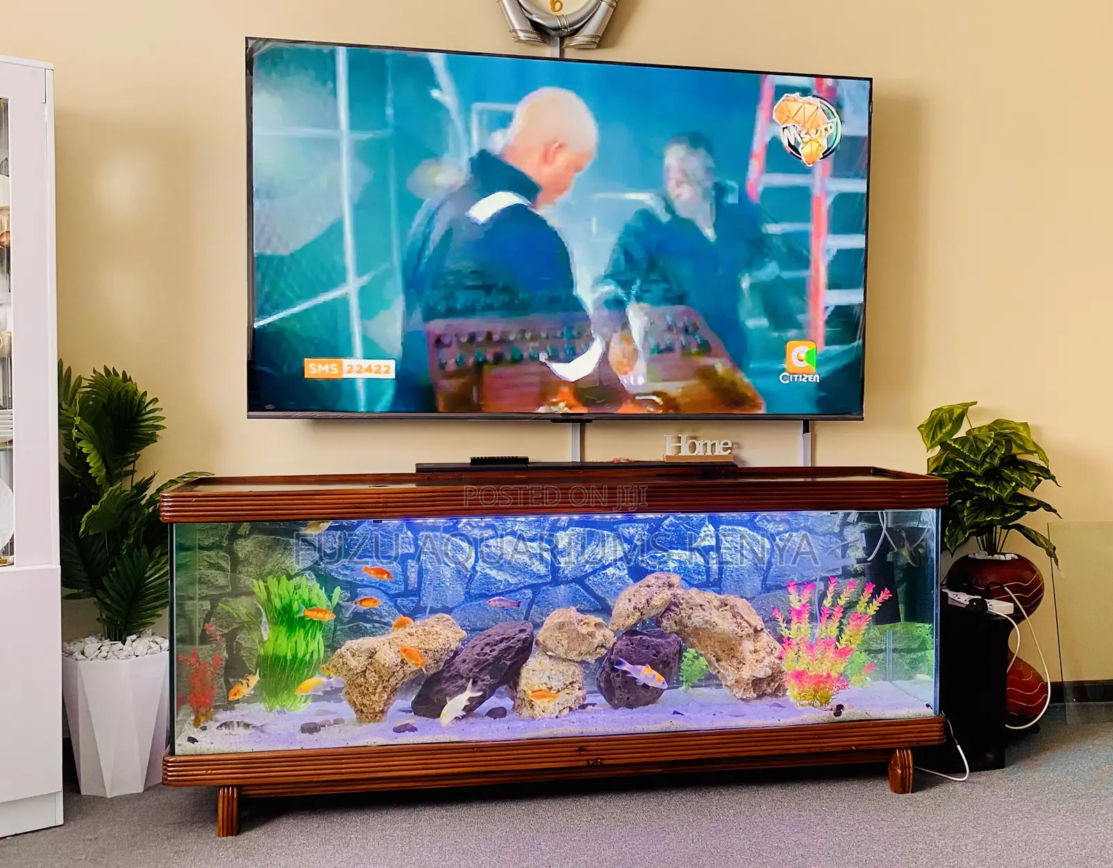Natural Mvule Aquarium Tv Stand – Fish Included