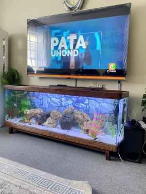 Beautiful Lifetime Wood Aquarium Stand With Plants