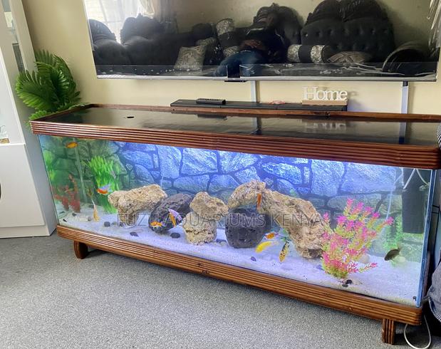 Treated Natural Wood Tv Stand Aquarium With Plants