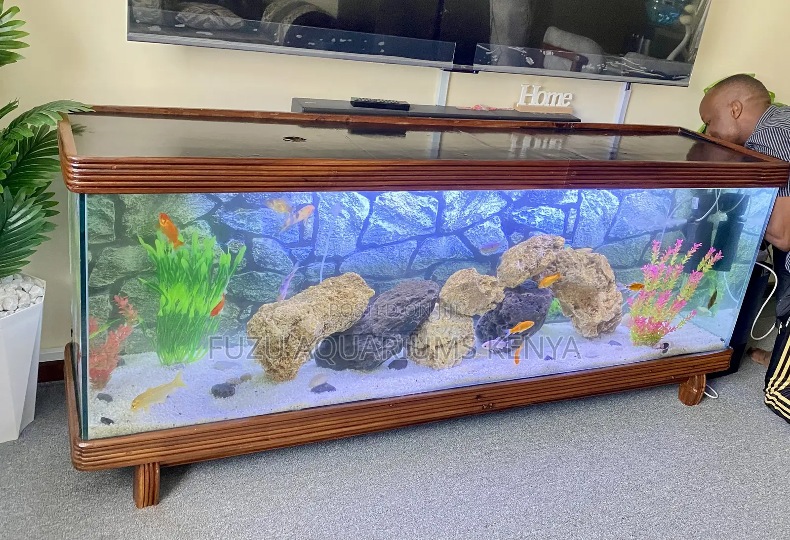 Statement Piece: Lifetime Wood Tv Stand Aquarium