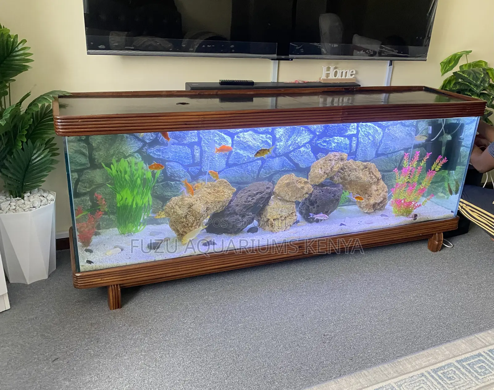 Timeless Mahogany Tv Stand Aquarium – Complete