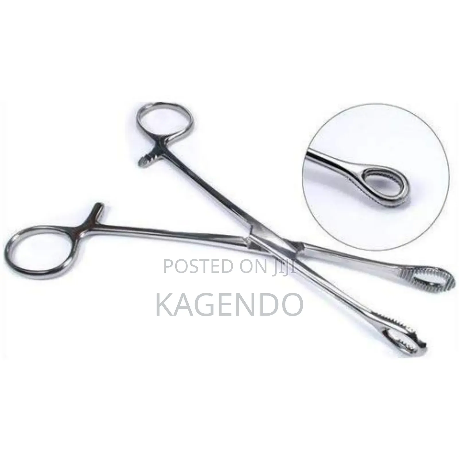 Sponge Holding Forceps