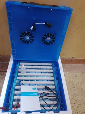 64 Eggs Incubator/ Incubator 64 Eggs - thumbnail 2