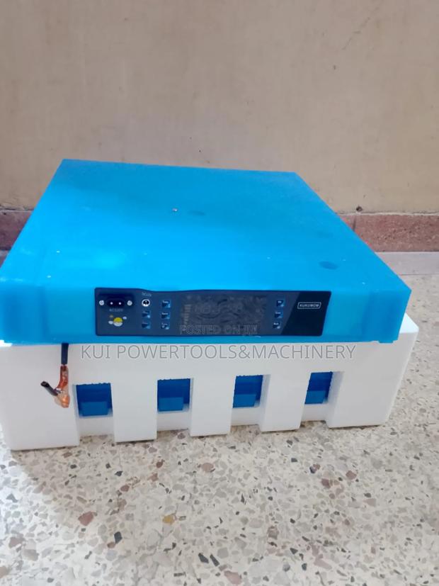 64 Eggs Incubator/ Incubator 64 Eggs - thumbnail 3