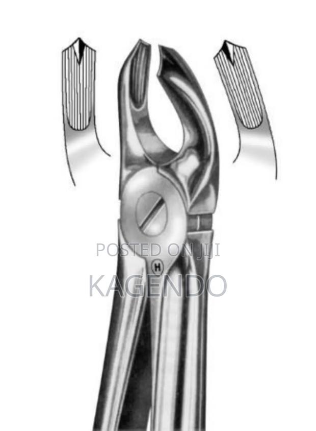 Upper Posterior Forceps - thumbnail 3